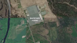 Federal immigration agents arrests reported in Skowhegan for second time in February