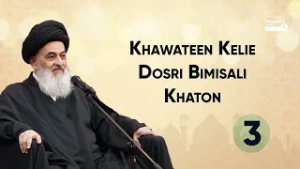 Khwateen ke Liye Dusri Bemisali Khatoon | Ayatollah Sayyid Sadiq Hussaini Shirazi Ke Bayanat