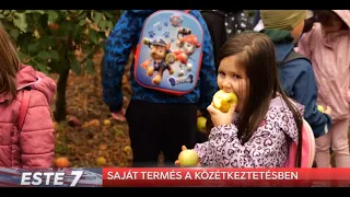 Almatermelés a közétkeztetésért