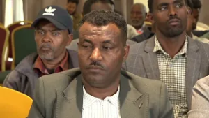 DW International ሓድነት ብዘይ ሉኣላውነት ... መፅናዕታዊ ትንታነ ብፕሮፌሰር ክንፈ  ኣብርሃ