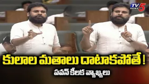 కులాల వెనుక దాక్కోవద్దు..Dy Cm Pawan Kalyan Key Comments On YSRCP | Ap Assembly | TV5 News