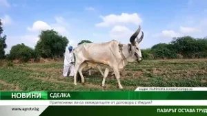 СДЕЛКА: Притеснени ли са земеделците от договора с Индия?
