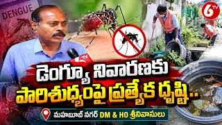 డెంగ్యూ నివారణకు పారిశుధ్యంపై ప్రత్యేక దృష్టి | Mahabubnagar DM & HO Srinivasulu | Dengue Alert |6TV