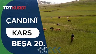Çandinî - Beşa 20. (Kars)