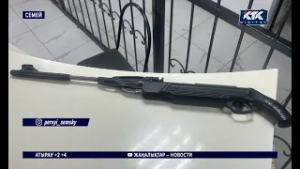 Стрелял в чипированных собак в одном из дворов пьяный работник отлова в Семее