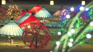 Summer illumination events at Okayama Castle and Okayama Korakuen Garden see increase in daily vi...