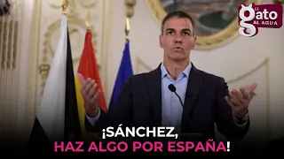Jorge Buxadé analyzes what the Government can do for Spain