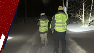 Последний раз видели в автобусе: куда пропала Тамара Волкова?