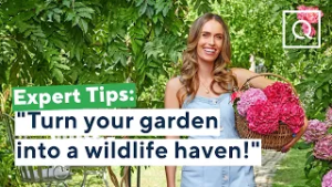 TOP 4 WAYS TO BRING WILDLIFE TO YOUR GARDEN | QVCUK