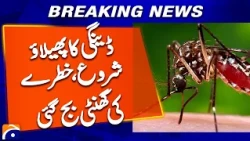 Dengue Begins to Spread: A Warning Bell for Public Health! | Breaking News
