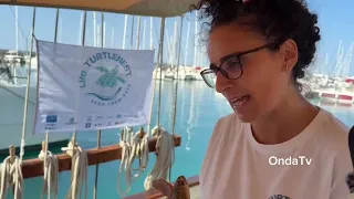 The historic Goletta Verde arrives in Sicily