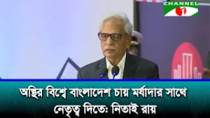 অস্থির বিশ্বে বাংলাদেশ চায় মর্যাদার সাথে নেতৃত্ব দিতে: নিতাই রায়