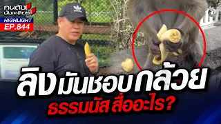 อัดกล้วยเลี้ยงลิง! ดีลลับ! เขียว-แดง-ส้ม เขย่ากระดานอำนาจ! | คนดังนั่งเคลียร์ | 19 ส.ค. 69