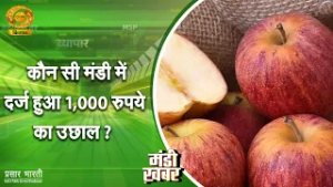 Mandi Khabar | कौन-सी मंडी में दर्ज हुआ 1000 रूपए का उछाल | DD Kisan | March 3, 2026
