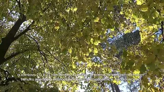 JESEN JE ZVANIČNO STIGLA