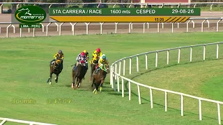 Hipódromo Monterrico - 5ta Carrera 29  Agosto 26