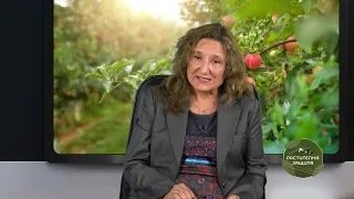 Растителна защита: Как да спасим овощната градина от черната златка