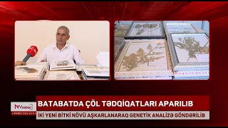 Batabatda çöl tədqiqatları aparılıb