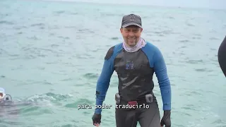 🎬 ÍCONOS | Capítulo 12 PAUL HOWARD