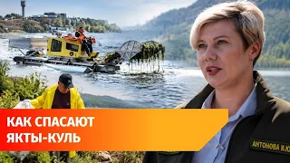 Amphibious machine saves ecosystem from harmful algae at Lake Yakty-Kul in Bashkiria