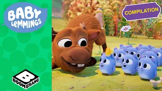 I Baby Lemmings giocano con gli animali della foresta! 🦝🦉| Baby Lemmings | Boomerang Italia