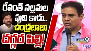 KTR Slams Revanth Reddy:రేవంత్ నల్లమల పులి కాదు.. చంద్రబాబు దగ్గర పిల్లి!