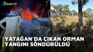 FOREST FIRE EXTINGUISHED IN YATAĞAN