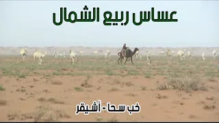 عساس ربيع الشمال | خب سـحا - أشـيقر 17-5-1434هـ