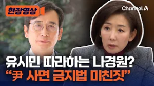 나경원, '尹 사면 금지법' 추진에 "민주, 끔찍한 헌정사 비극 예고" [현장영상] / 채널A