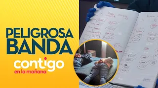 This Is How a DANGEROUS GANG Involved in Human Trafficking and Money Laundering Was Taken Down - ...