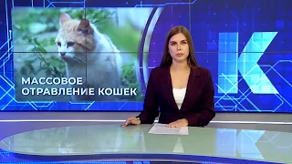 Kaliningrad News — Daily Wrap-up, September 11, 2026 Kaskad TV