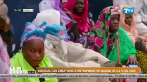 SÉNÉGAL: LES CRÉATIONS D’ENTREPRISES EN BAISSE DE 4,2 % EN 2024