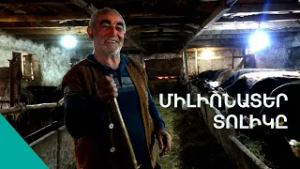 Գժական տունը, բոմբ  ավտոն կա, մենակ մի  հարսա պակսում. հարուստ Տոլիկի  երազանքը