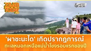 “ผาชะนะได" เกิดปรากฏการณ์ทะเลหมอกเหนือแม่น้ำโขงรอบแรกของปี (30 ก.ค. 69) | แซ่บทูเดย์