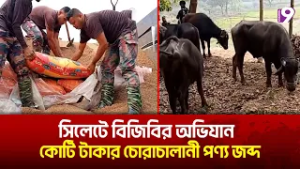 সিলেটে বিজিবির অভিযান: কোটি টাকার চোরাচালানী পণ্য জব্দ | Sylhet News | BGB | Channel9
