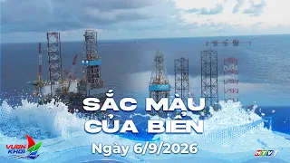 COLORS OF THE SEA | VIETSOVPETRO – ONE COLLECTIVE, MANY WAYS TO CONTRIBUTE