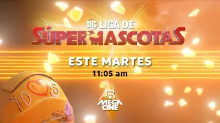 ¡Prepara a tus peluditos para el partido más adorable del año!