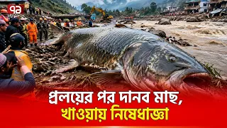 আগে দেখা যায়নি, নেপালে রহস্যময় মাছ | Nepal Mysterious Fish | Ekattor TV