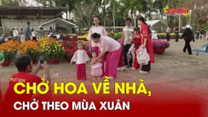 Chở hoa về nhà, chở theo mùa Xuân | CT-TDT