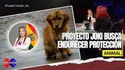 JOKI Bill seeks to tighten animal protection | Crossfire