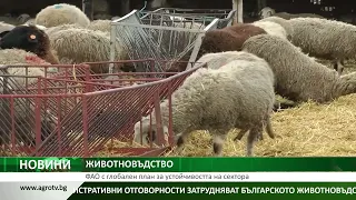 ЖИВОТНОВЪДСТВО: ФАО с глобален план за устойчивостта на сектора