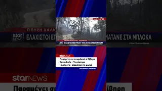 Παραμένει σε επιφυλακή η Σίβηρη Χαλκιδικής - Το σύστημα «Antinero» σταμάτησε τη φωτιά