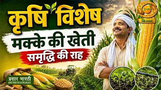 Krishi Vishesh | Maize Farming: The Path to Prosperity | DD Kisan | 09/02/2026