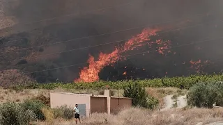 Spain wildfire: Most of the 12 fatalities are believed to be foreign nationals
