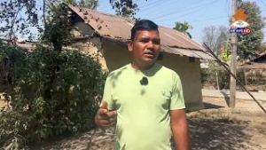 झापा-५ मा चुनावी रौनक || NEPAL TELEVISION