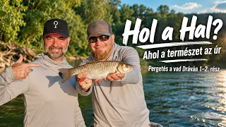 Hol a Hal? – Ahol a természet az úr | Pergetés a vad Dráván 1–2. rész