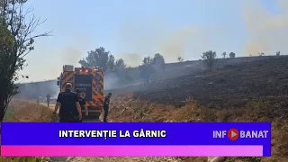 Intervenție la Gârnic