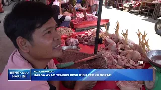 CHICKEN PRICES HIT IDR 50 THOUSAND PER KILOGRAM