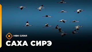 «Саха сирэ» информационнай биэрии. Атырдьах ыйын 19 күнэ 13.30