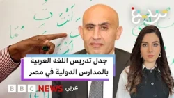 قرار تدريس اللغة العربية في المدارس الدولية في مصر يشعل المنصات